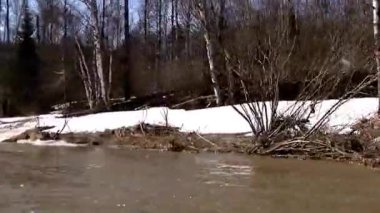 Ormanın içinden. Tekneye binmek için. Motordan fışkıran sprey..