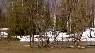 Ormanın içinden. Tekneye binmek için. Motordan fışkıran sprey..