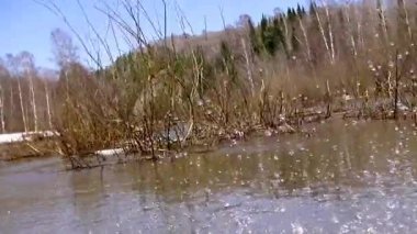 Ormanın içinden. Tekneye binmek için. Motordan fışkıran sprey..