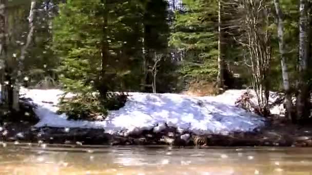 Genom Skogen Att Ombord Båten Sprayen Från Motorn — Stockvideo