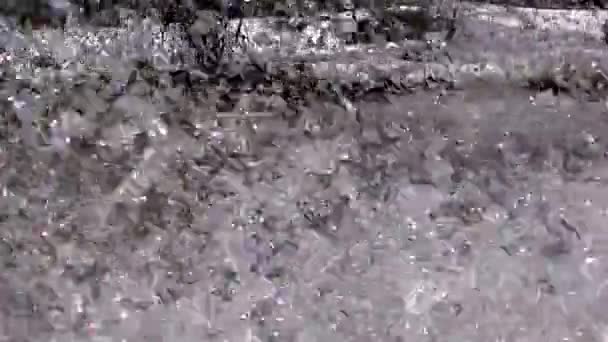 Attraverso Foresta Salire Sulla Barca Spray Dal Motore — Video Stock