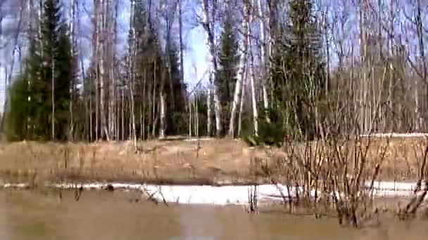 穿过森林 坐上小船去 发动机喷出的水花 — 图库视频影像