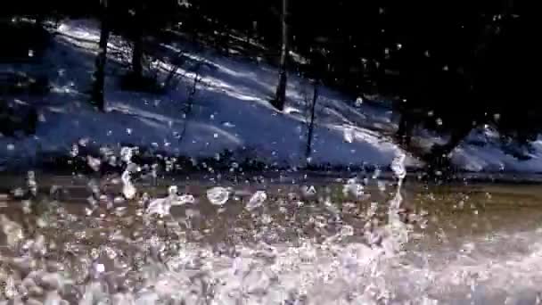 Durch Den Wald Auf Dem Boot Gehen Das Spray Aus — Stockvideo
