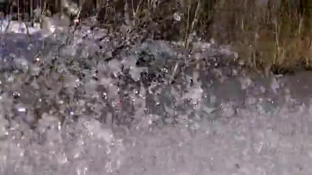 Attraverso Foresta Salire Sulla Barca Spray Dal Motore — Video Stock