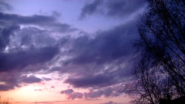 Hermosa Puesta Sol Escarlata Nubes Precipitan Través Del Cielo — Vídeo de stock