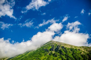 Dağ manzarası. Yaprak döken orman. Tepesinde bulut