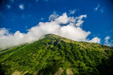 Dağ manzarası. Yaprak döken orman. Tepesinde bulut