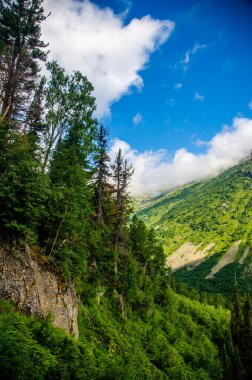 Dağ manzarası. Yaprak döken orman. Tepesinde bulut