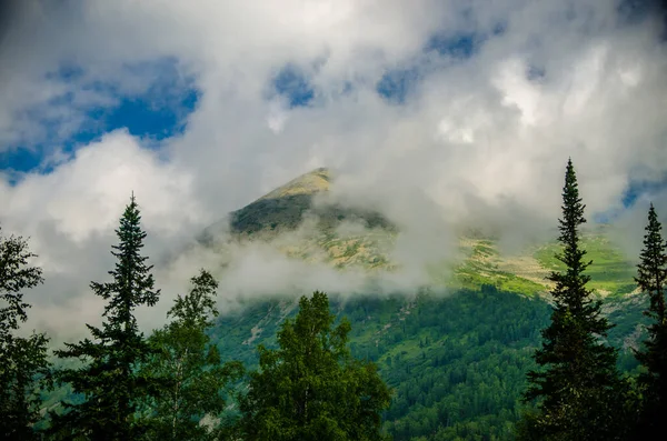 Гірський Пейзаж Листяний Ліс Хмара Зверху — стокове фото