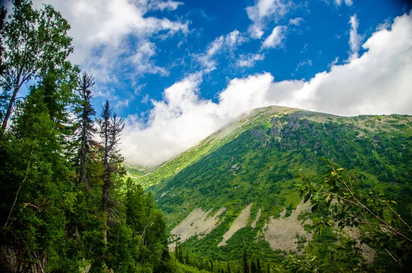 Гірський Пейзаж Листяний Ліс Хмара Зверху — стокове фото