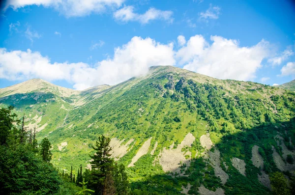 Horská Krajina Listnatý Les Mrak Vrcholu — Stock fotografie