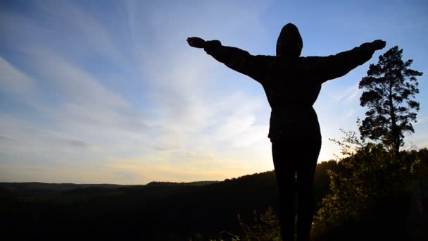 Una Chica Para Cima Una Montaña Con Las Manos Abiertas — Vídeos de Stock