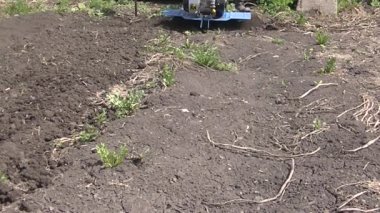 Manüel ekiciyle toprağı sürmüş. Tarım endüstrisi