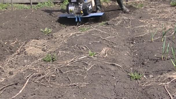 Labourer Terre Avec Cultivateur Manuel Industrie Agricole — Video