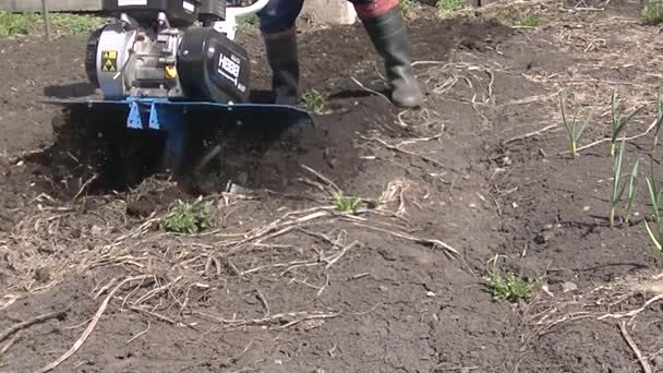 手動栽培機で土地を耕しています — ストック動画