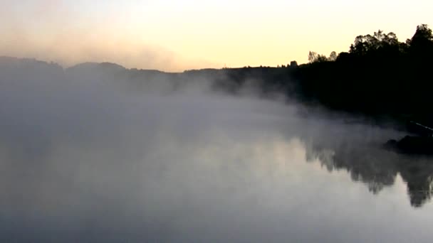 美丽的晨光笼罩着森林和湖泊 浓雾覆盖着茂密的针叶林 — 图库视频影像