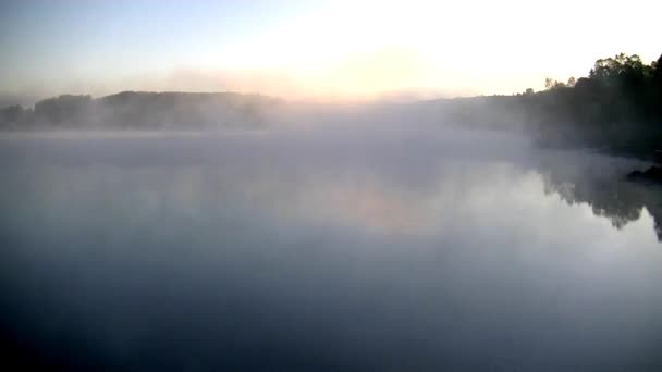 Prachtig Ochtendlicht Het Bos Meer Dikke Mist Bedekt Met Dikke — Stockvideo