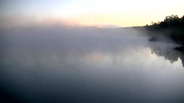 美丽的晨光笼罩着森林和湖泊 浓雾覆盖着茂密的针叶林 — 图库视频影像