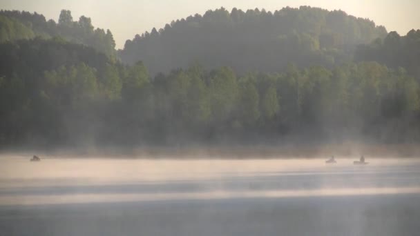 Frumoasă Lumină Dimineață Deasupra Pădurii Lacului Ceață Groasă Acoperită Pădure — Videoclip de stoc