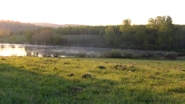 Krásné Ranní Světlo Nad Lesem Jezerem Hustá Mlha Pokrytá Hustým — Stock video