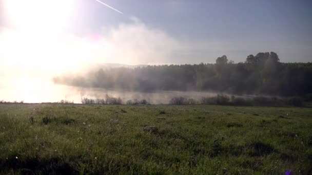 Kaunis Aamu Valo Yli Metsän Järven Paksu Sumu Peitetty Paksulla — kuvapankkivideo