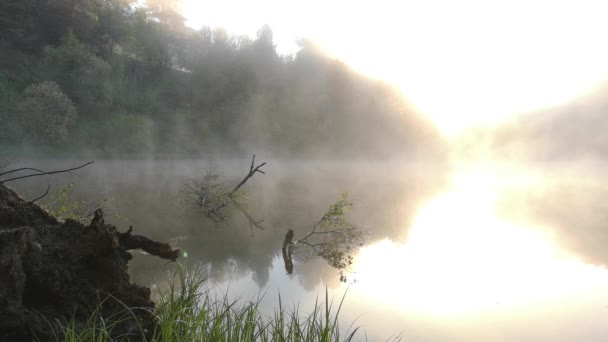Homem Fotografa Nevoeiro Manhã Paisagem Quente Verão — Vídeo de Stock