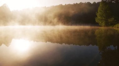Su deposunun yakınındaki yaz ormanında yoğun bir sabah sisi..