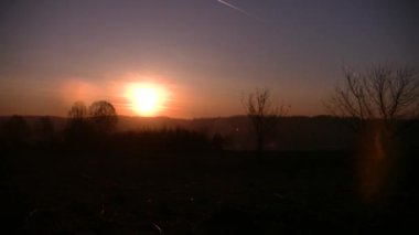 Su deposunun yakınındaki yaz ormanında yoğun bir sabah sisi.