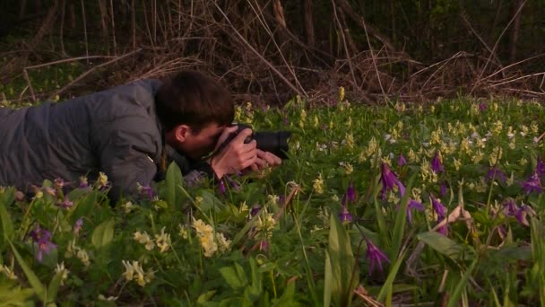 Ein Mann Fotografiert Den Morgennebel Warme Sommerlandschaft — Stockvideo