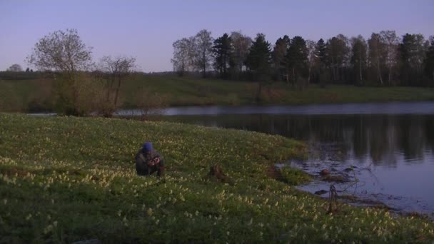 Een Man Fotografeert Ochtendmist Warm Zomerlandschap — Stockvideo