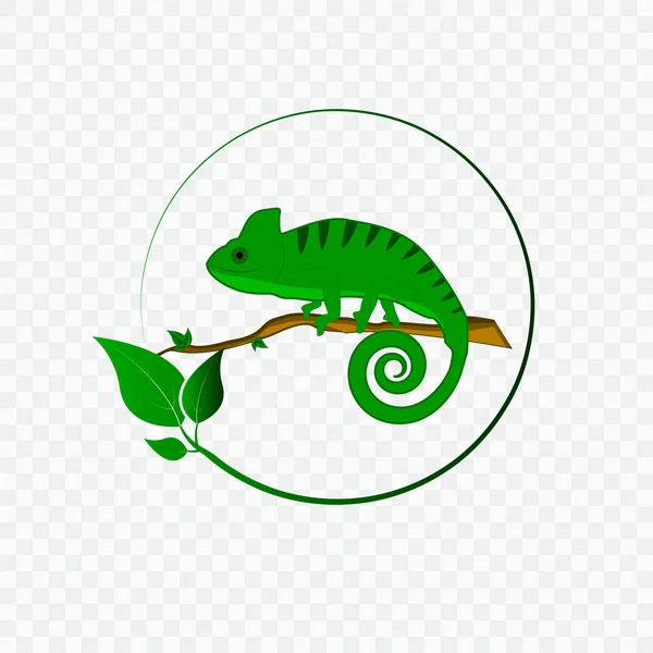 Concepto con logo camaleón — Archivo Imágenes Vectoriales