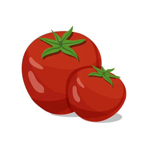 Tomates isolados sobre fundo branco —  Vetores de Stock