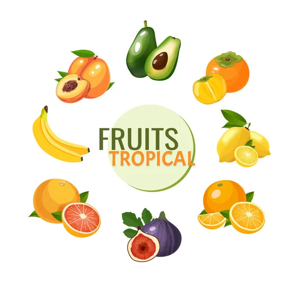 Fresh healthy fruits and berries vector illustration — Stock Vector