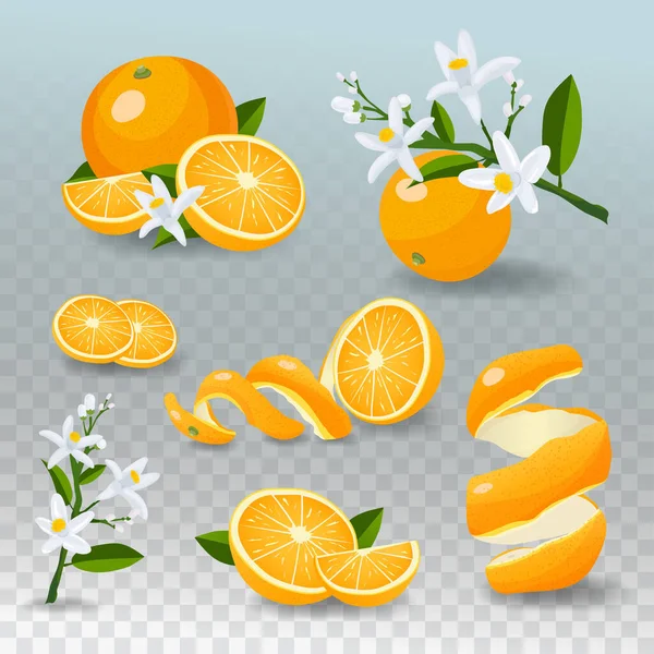 Conjunto de frutas laranja frescas. Laranjas suculentas isoladas no fundo verificado . — Vetor de Stock