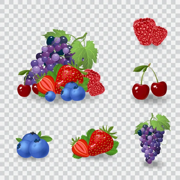 新鲜浆果病媒图解。健康饮食概念。有机浆果. — 图库矢量图片
