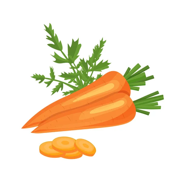 Ilustracja wektora marchewki. Ikona marchewki. Świeża zdrowa żywność - organiczna naturalna żywność izolowana na białym — Wektor stockowy