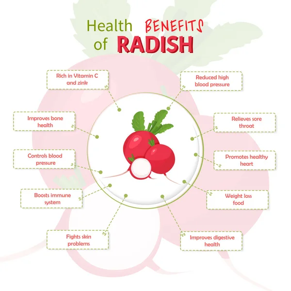 Benefícios para a saúde do rabanete. Nutrientes de rabanete modelo infográfico ilustração vetorial — Vetor de Stock