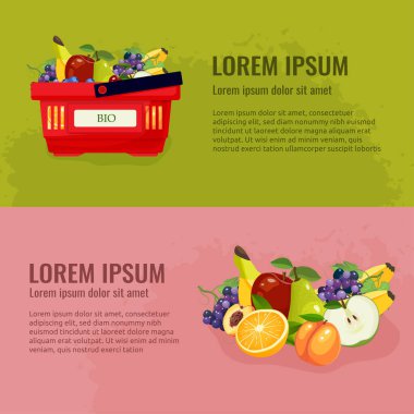 Sağlıklı beslenme konsepti. Organik meyve ve böğürtlen vektör çizimi