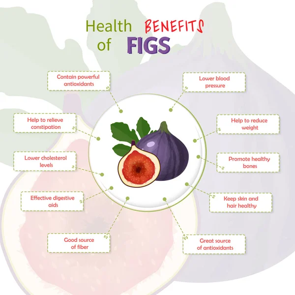 Beneficios para la salud de la fig. Figs nutriente infografía plantilla vector ilustración. Frutas frescas — Archivo Imágenes Vectoriales