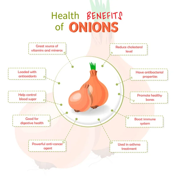 Benefícios para a saúde das cebolas. Nutrientes cebolas infográfico modelo vetor ilustração. Frutas frescas —  Vetores de Stock