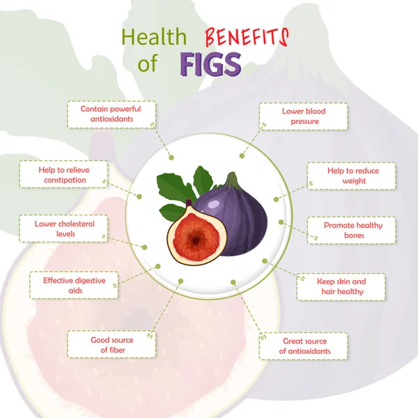Korzyści zdrowotne fig. Figi składniki odżywcze infograficzny wzór wektor ilustracji. Świeże owoce — Wektor stockowy