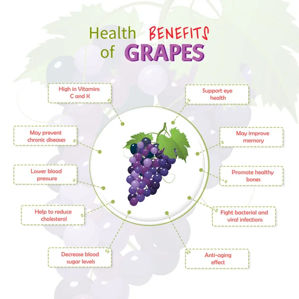 Benefícios para a saúde das uvas. Nutrientes de uvas infográfico modelo vetor ilustração. Frutas frescas — Vetor de Stock