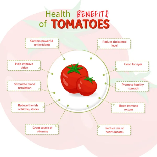 Benefícios para a saúde dos tomates. Nutrientes de tomates infográfico modelo de ilustração vetorial. Frutas frescas — Vetor de Stock