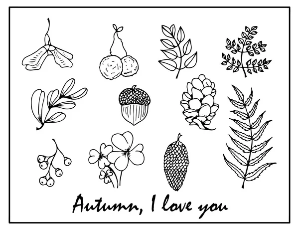 Природа иллюстрации. Естественные материалы. Лесная открытка. Лесные фрукты, листья, ветви . — стоковый вектор