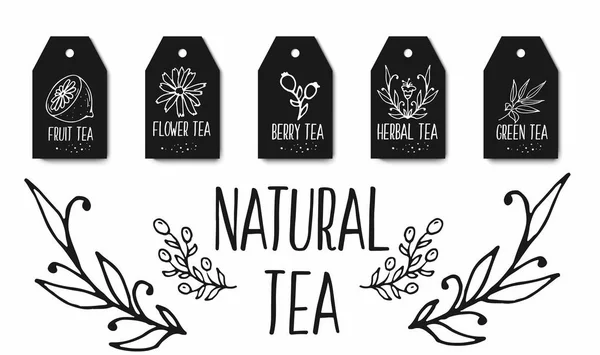 Herbal tea tags collection. Organic herbs and wild flowers. Hand sketched fruits  berries illustration.