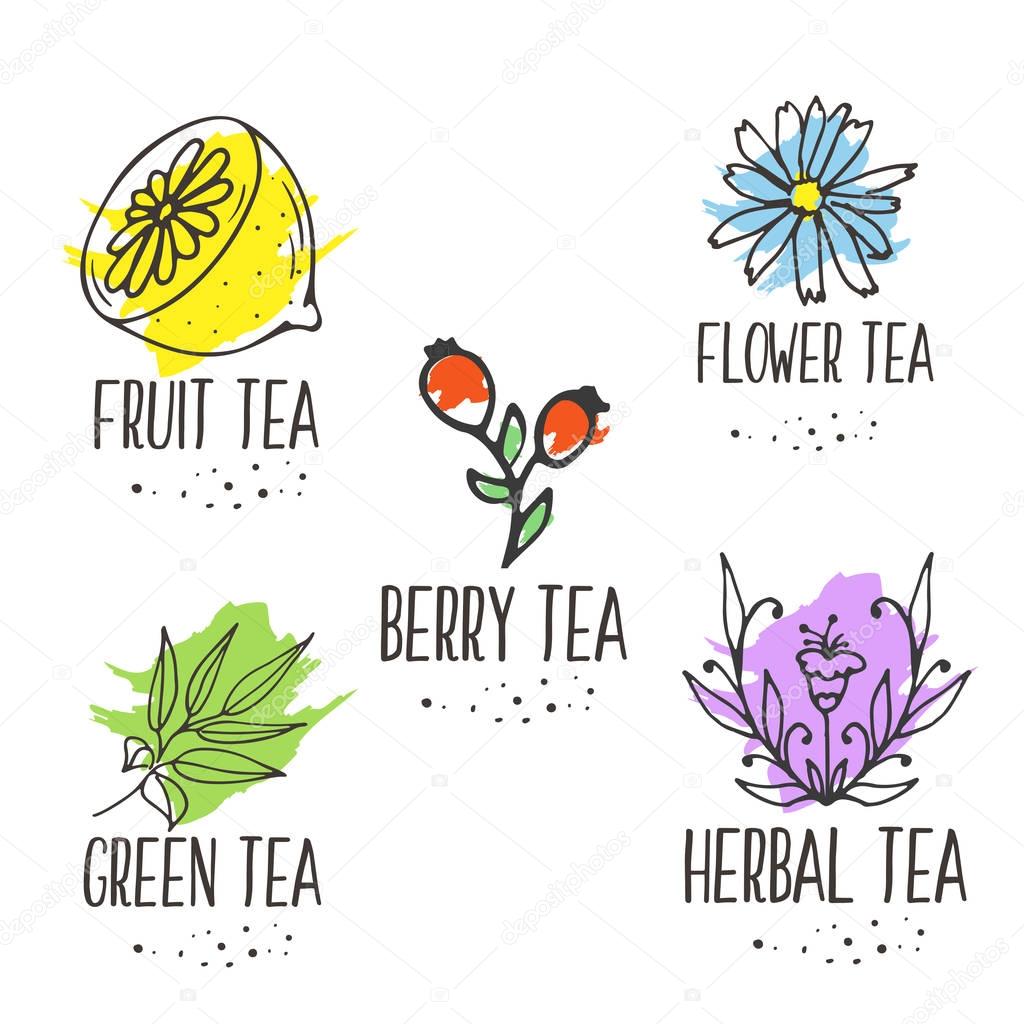 Herbal tea logo elements collection. Organic herbs and wild flowers. Hand sketched fruits and berries illustration. Flower and leaves branches. Floral vector design.