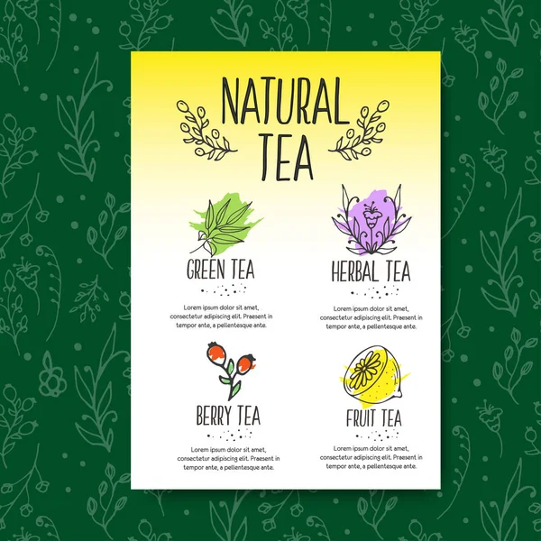 Herbal tea menu brochure. Organic herbs and wild flowers. Hand sketched fruits and berries illustration. — Stock Vector