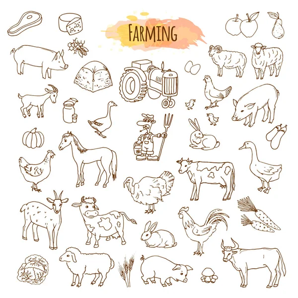Elementos de granja dibujados a mano. Herramientas agrícolas y animales . — Archivo Imágenes Vectoriales