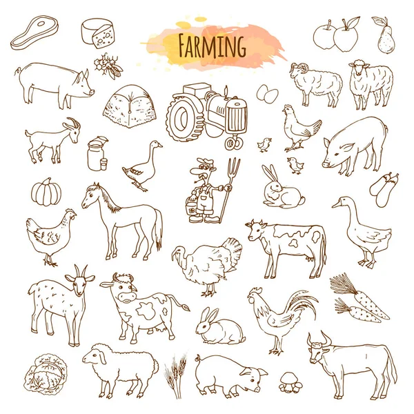 Hand drawn farm elements. Farming tools and animals. — Stock Vector