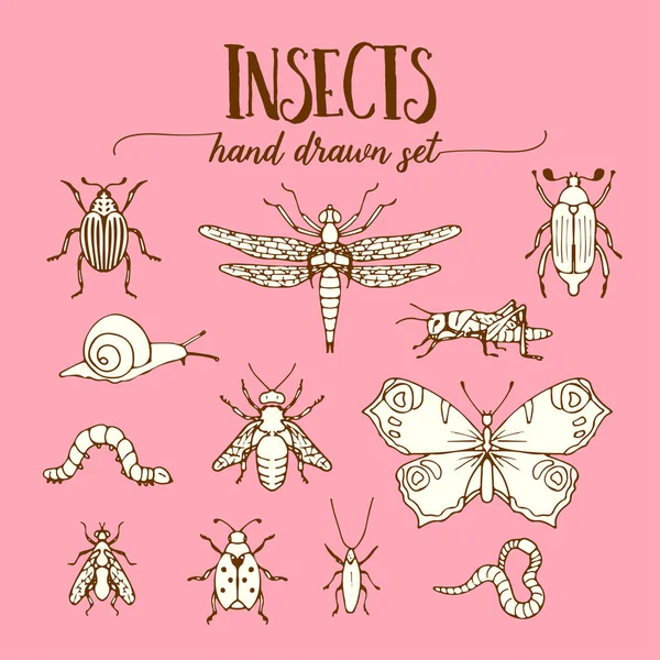 Insecten vintage set van hand getrokken doodle schets — Stockvector